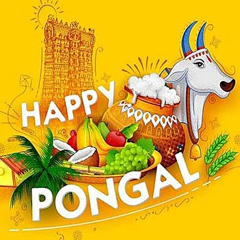 Happy Pongal Whatsapp Status