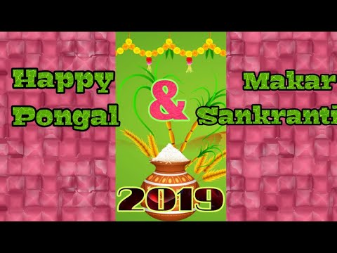 Makar sankranti lyrics | Latest Pongal and Makar Sankranti Full Screen WhatsApp Status | Swag Video Status