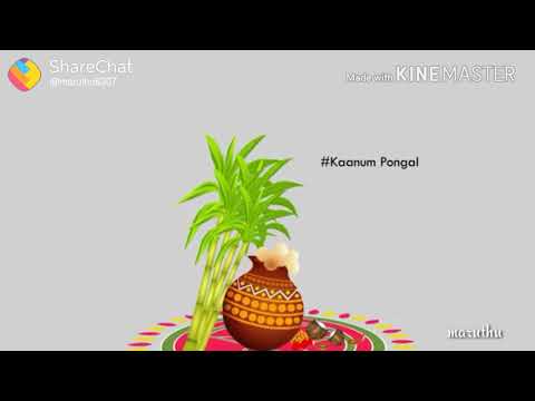 Pongal special what's app status Tamilanda | Swag Video Status