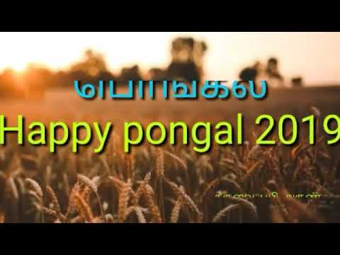 Tamil kavithai கவிதை: Happy Pongal WhatsApp status new | Swag Video Status