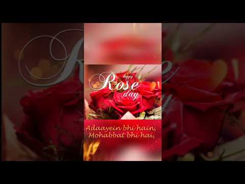 Female Version - Happy Rose day 2019 Whatsapp Status Video 7th Feb 2019 | Addayebhi hai | Swag Video Status