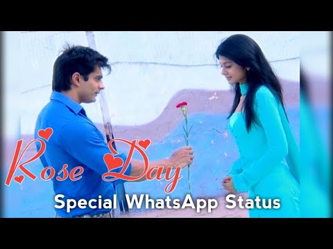 Rose Day Special !! Tu Jahaan Main Wahaan !! Whatsapp Status Video | Swag Video Status