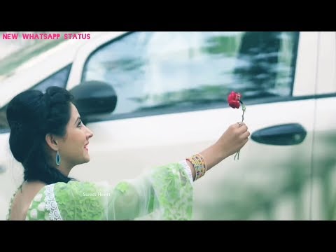Special Propose To A Girl Status || Special Propose To A Boy Status || New Propose WhatsApp Status | Swag Video Status
