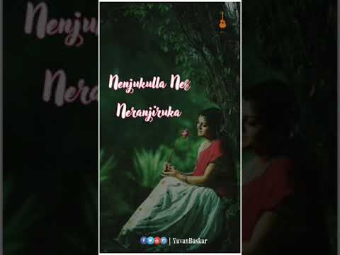 Nenjukulla Nee Neranjiruka Female Version || Whatsapp Status | Swag Video Status