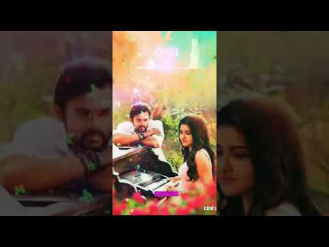 Chashni Whatsapp Status ? Bharat Whatsapp Status ? New Romantic Status ? Full screen Trending ? Swag Video Status