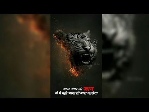 शेर/Best Motivational?Dialogue Ever/FullScreen Motivational Dialogue Whatsapp Status ?Swag Video Status