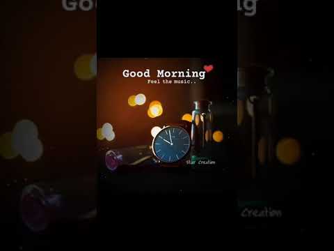 New Instumantal ringtone sound feeling whatsaap status video 2k20 || Good Morning status video 2k20 | Swag Video Status