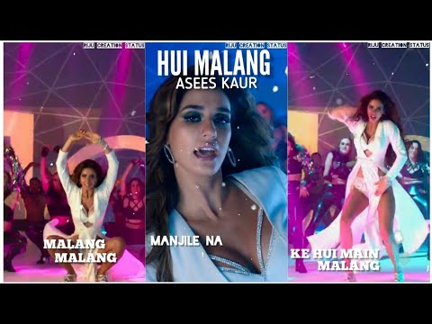 Hui Malang Full Screen Status MALANG | Aditya R K, Disha P, Anil K, Kunal K |  Swag Video Status