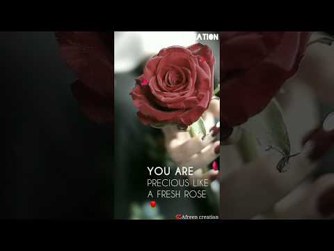 7 Feb 2020 Rose Day ?? status| Rose day status| Rose day fullscreen status| instrumental status | Swag Video Status