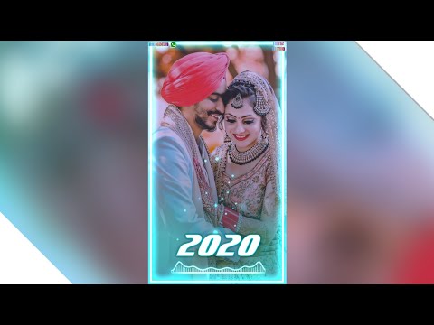 Rose Day special status 2020 propose day special status 2020 Valentine Day special status 2020 | Swag Video Status