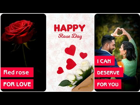 Happy Rose day - Full screen status || whatsapp status - valantine week status | Rose Types | Swag Video Status