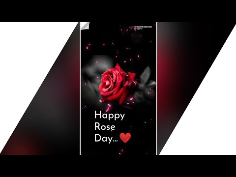 Rose Day Special?| Dil Me Ho Tum | Full Screen Status | Rose Day 2020❤️ | Dil Tere Piche Piche | Swag Video Status