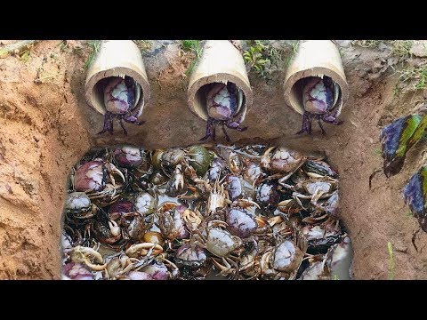 Top 5 video 2017 Amazing Man Make 5 Fish Trap Crab Trap & Eel Trap in Cambodia