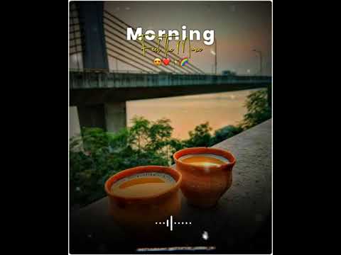 Good Morning Status | Tea Lover Whatsapp Status Video | Chai Status | Tea Lover Status | Swag Video Status