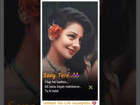 ? New Romantic Female Status ❤️ Chup Hai Baate Dil kaise Bayan karu ? Paniyon Sa Female Version | Swag Video Status