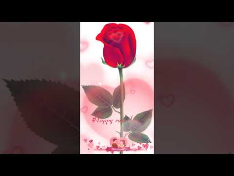 Rose day whatsapp status|| Rose day special whatsapp status||Happy rose day status video | Swag Video Status 