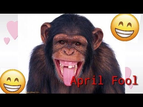 April Fool Day Whatsapp Status Video Download