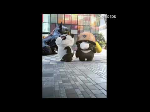 Funny Panda Dance WhatsApp Status||Two Funni Panda's||Panda Status|| Swag Video Status