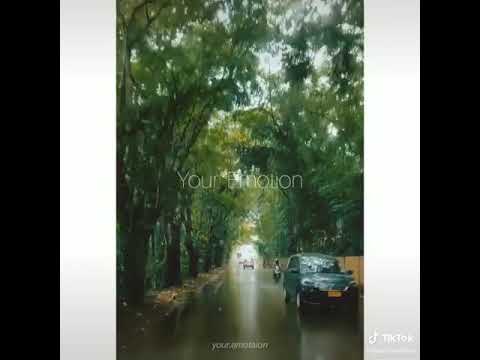 Nature monsoon season Whatsapp status video Hindi Love Song NATURE ADDICTED || Swag Video Status