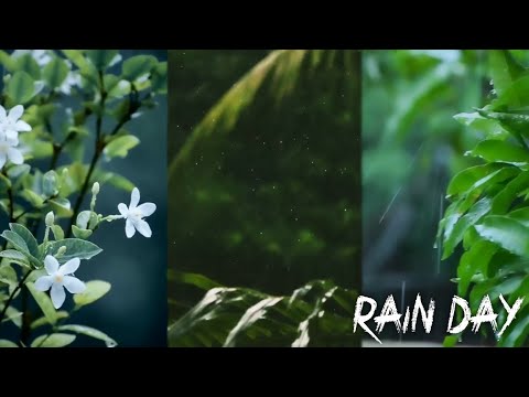 rain whatsapp status | Kisi na Kiya Aesa Ishque Tera Mera Barish Status | Swag Video Status