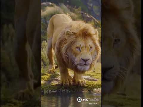 Lion Attitude whatsapp status | Lion King | Swag Video Status
