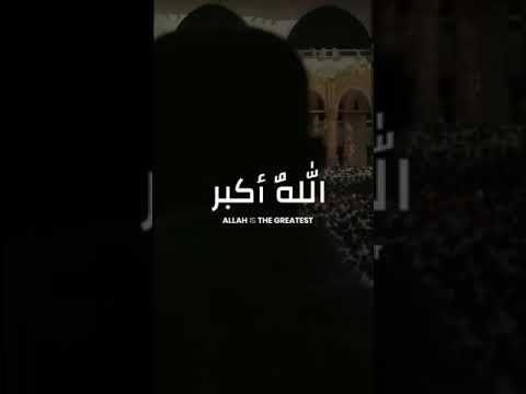 Eid ul adha status❤️bakra Eid mubarak status❤️ bakra Eid full screen status ❤️ Swag Video Status