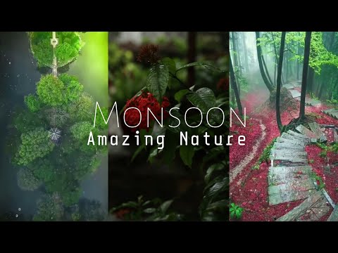 Monsoon HD Full Screen whatsapp status || Rain whatsapp status HD | Nature whatsapp status | Swag Video Status