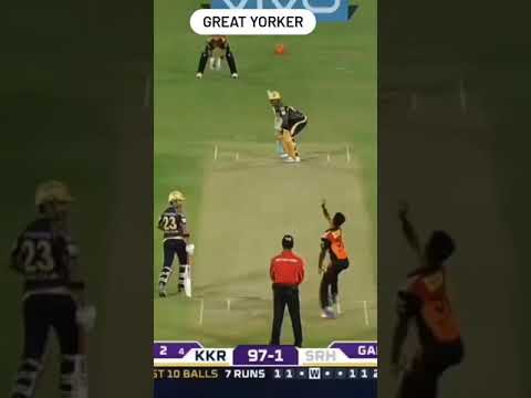 great Yorker in cricket | cricket full screen status | Swag Video Status
