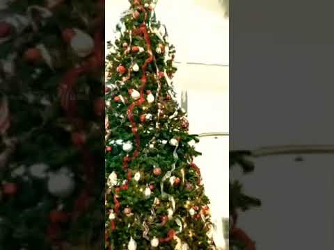 Merry Christmas Status | Full Screen Status ?, Christmas Special⚡ Swag Video Status