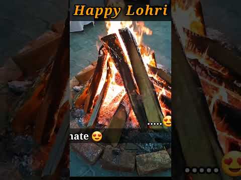 Happy Lohri?Whatsapp status❣trending status | Swag Video Status