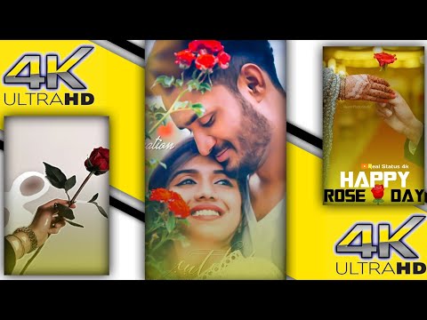 Happy Rose Day Status ?| Chahe Dukh Ho Chahe Sukh Ho Status | Swag Video Status