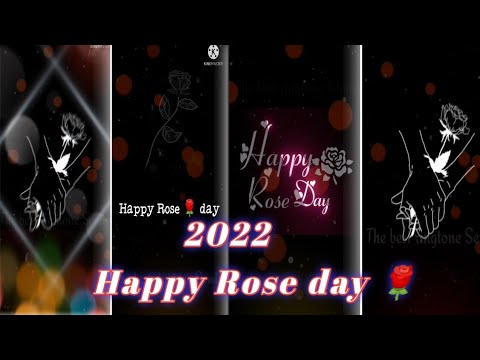 Happy Rose Day status | Rose Day 4k Full Screen Status | Swag Video Status