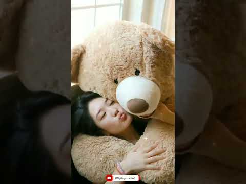 valentine week special Happy teddy day 2022 | Swag Video Status