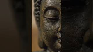 Lord buddh status gautam buddha status 4k status  |Swag Video Status