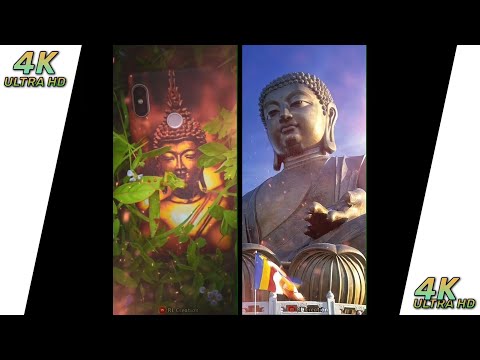 Lord Buddha Full Screen 4K Status | Swag Video Status