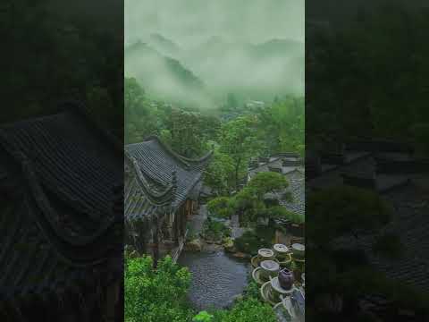 Forest Rain Status | Swag Video status
