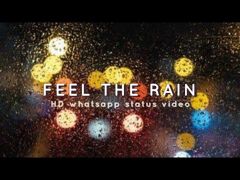 Rain Whatsapp Status Fullscreen video | Swag Video Status