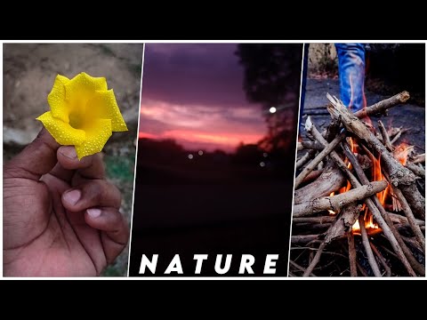 nature status | Swag Video Status