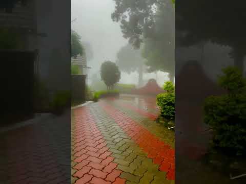 Coorg During Monsoon Status | Swag Video Status