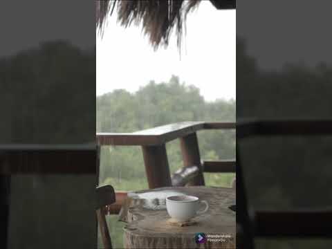 Monsoon Rain whatsapp status | Swag Video Status