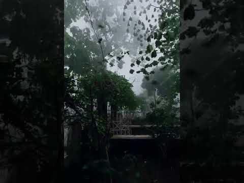 Heavy Rain Whatsapp Status | Swag Video Status