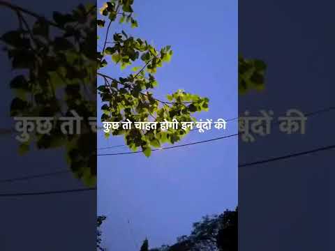 Barsaat Rain Monsoon Shayari for Whatsapp Status | Swag Video Status