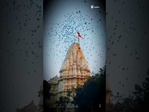 Guru Purnima WhatsApp Status | Swag Video Status