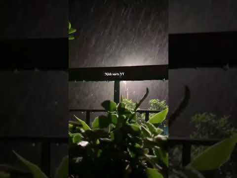musam ke dekhu Nazare Rain Status | Swag Video Status