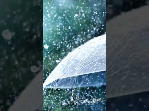 Monsoon Status | Swag Video Status
