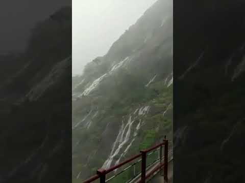 Western Ghats Rainy season status | Swag Video status