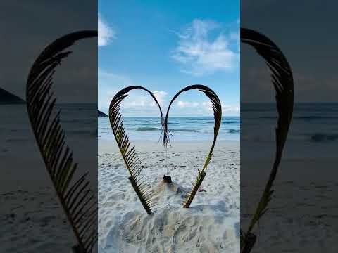 Beautiful Morning Beach Status | Swag Video Status