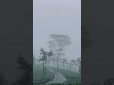 rainy day status for whatsapp | Swag Video Status