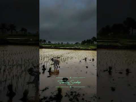 Some Of Monsoon Status | Swag Video Status