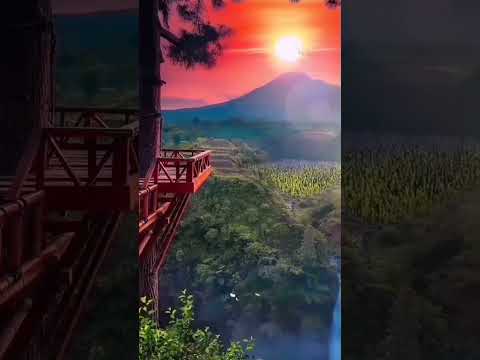 beautiful nature view status | Swag Video Status